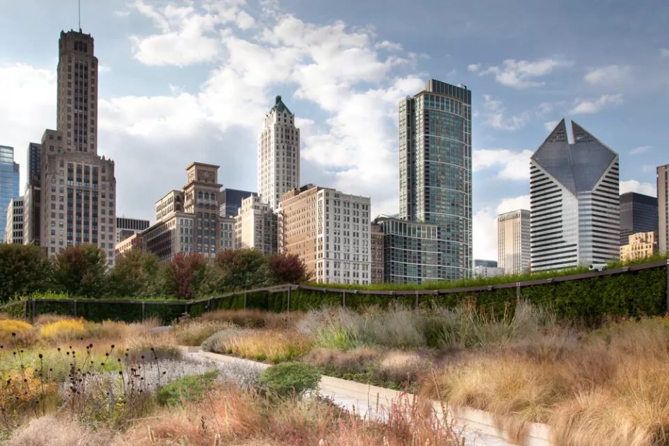 Downtown Skyline